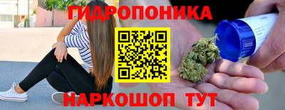 jwh Кингисепп