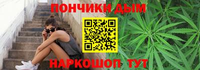 jwh Кингисепп