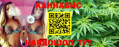 jwh Кингисепп
