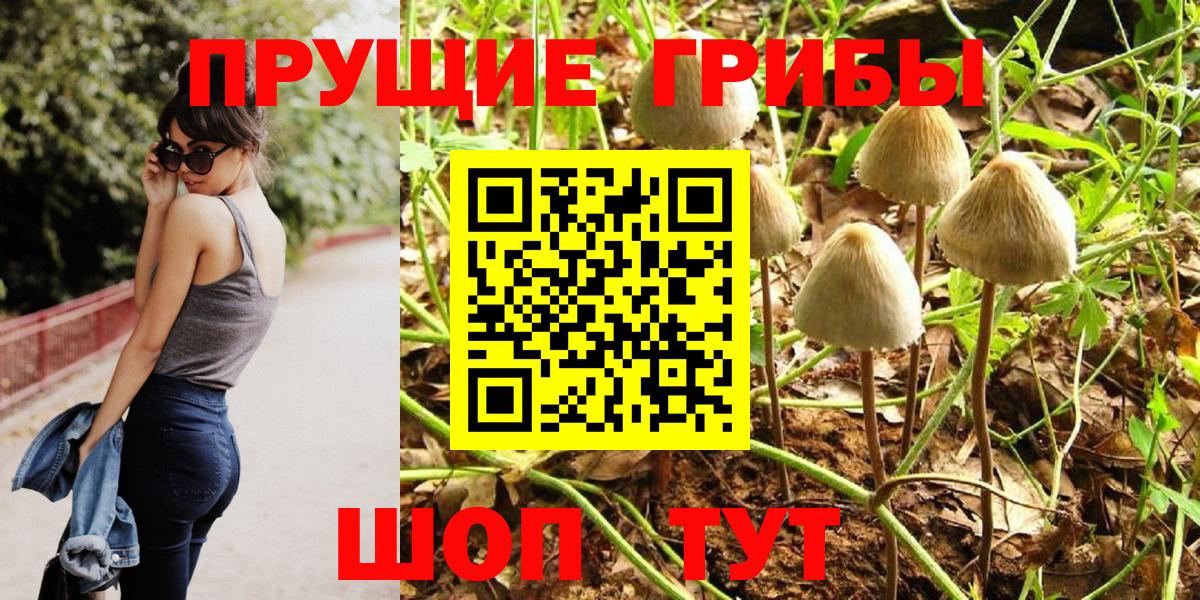 Екатеринбург  Галлюциногенные грибы прущие грибы  Вход с VPN 